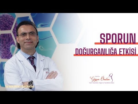 Sporun doğurganlığa etkisi